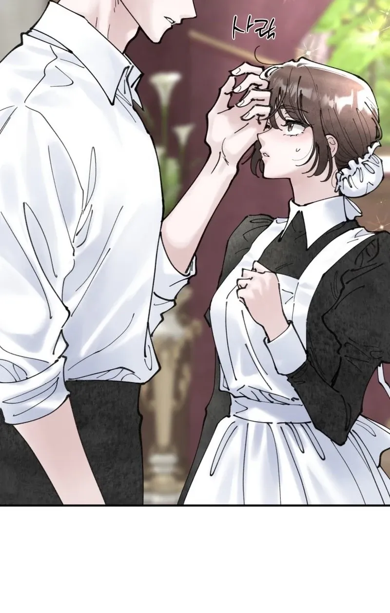 Read The Maid