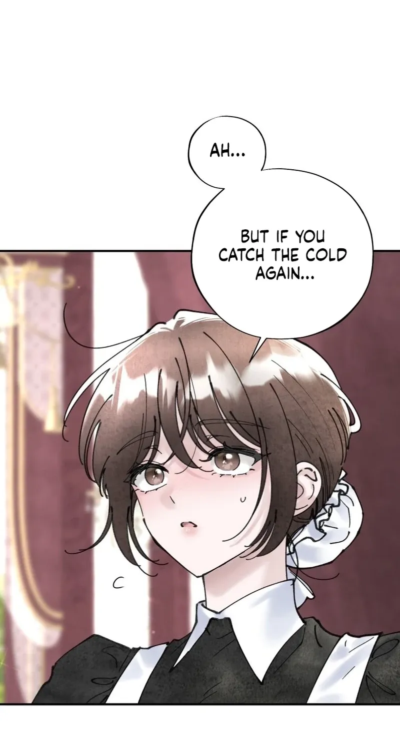 Read The Maid