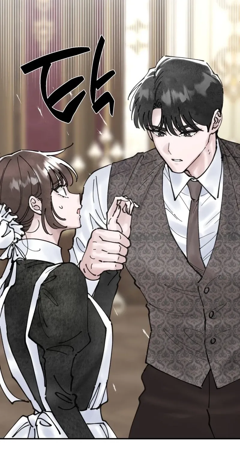 Read The Maid