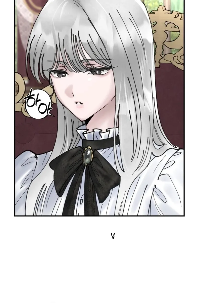 Read The Maid