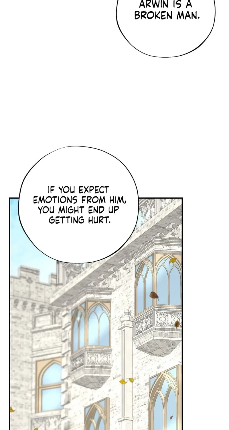 Read The Maid
