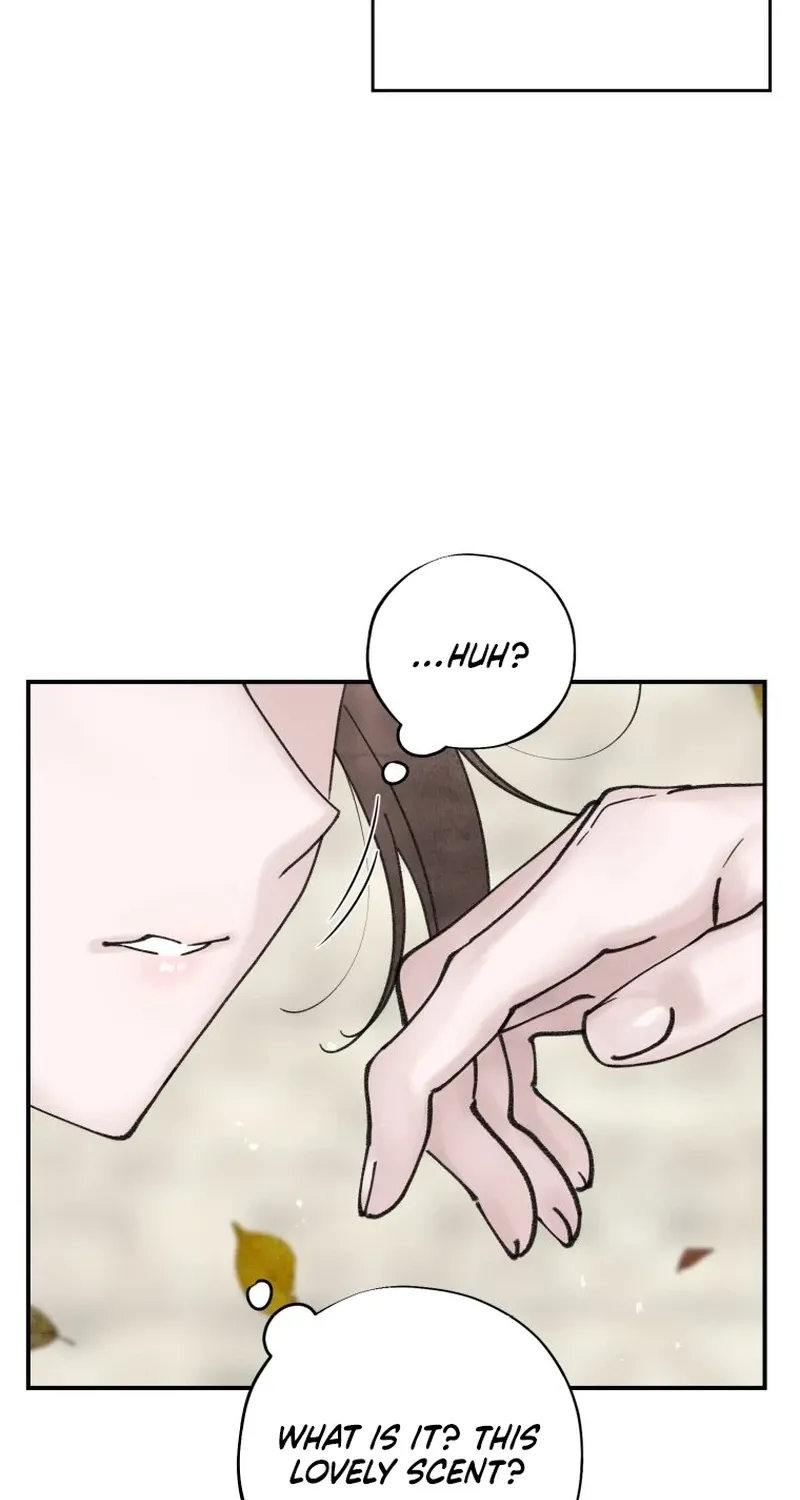 Read The Maid