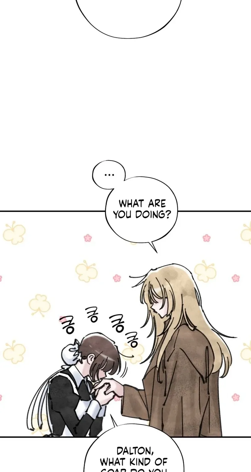 Read The Maid
