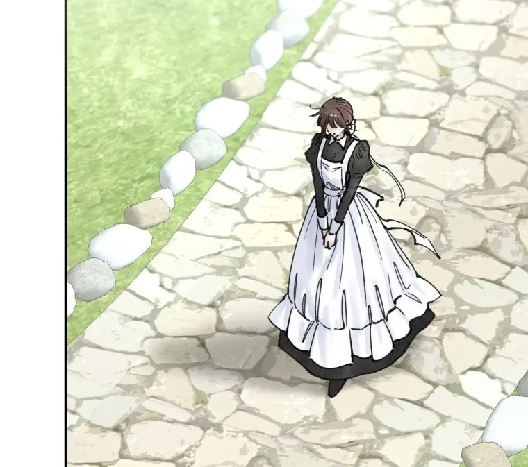 Read The Maid