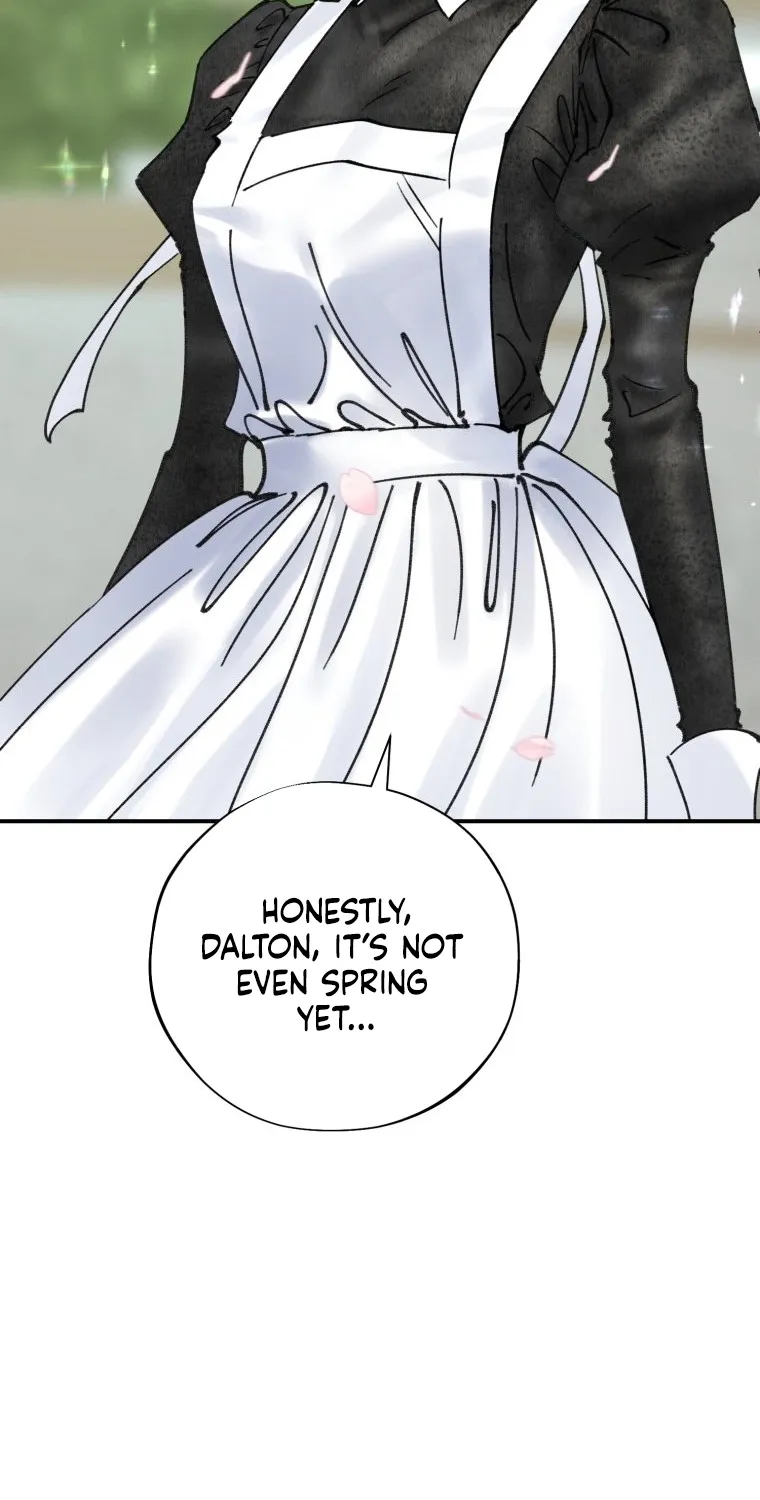 Read The Maid