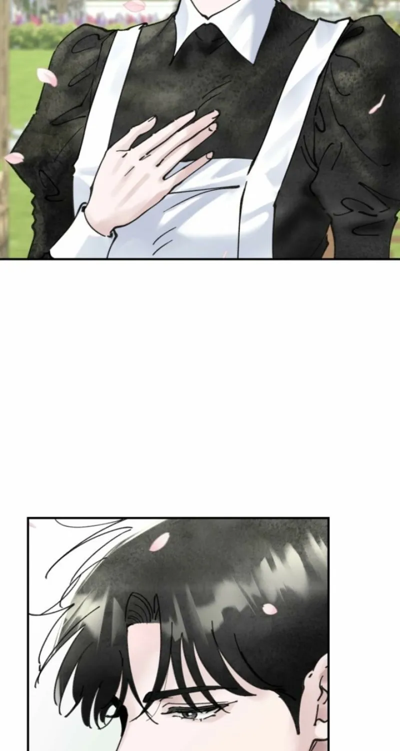 Read The Maid