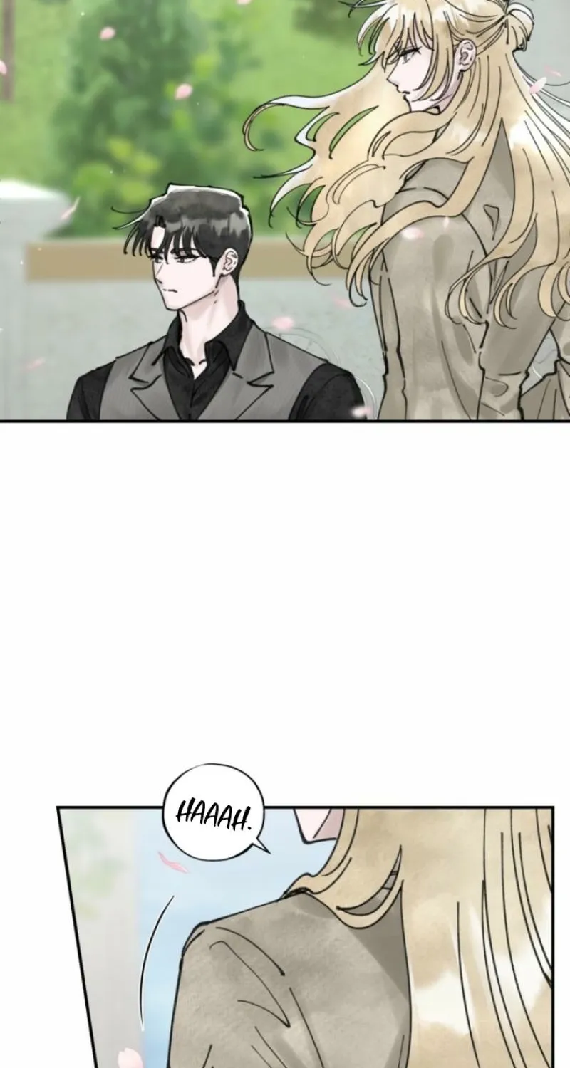 Read The Maid