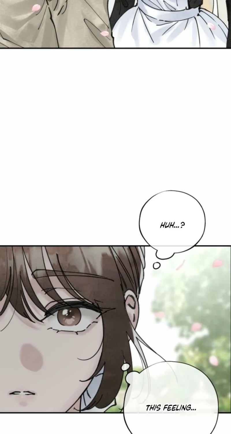 Read The Maid