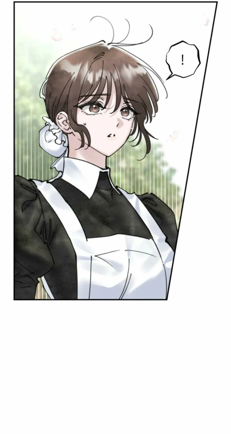 Read The Maid