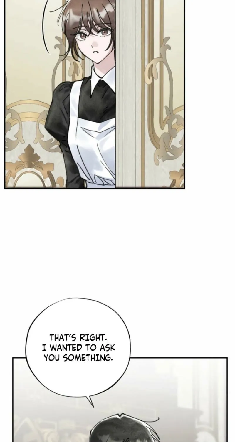 Read The Maid