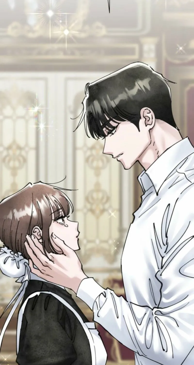 Read The Maid