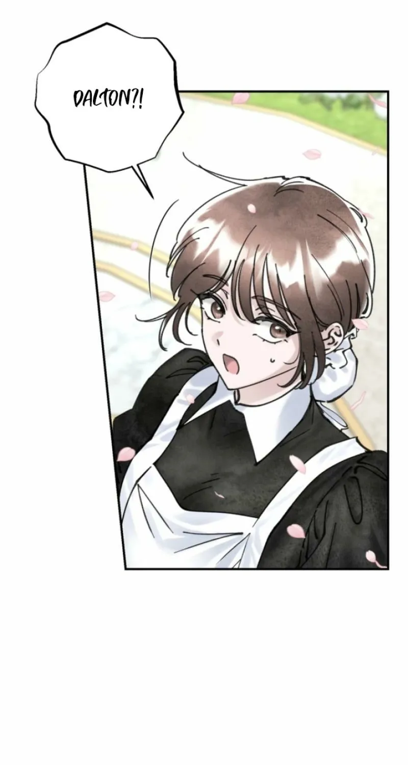 Read The Maid