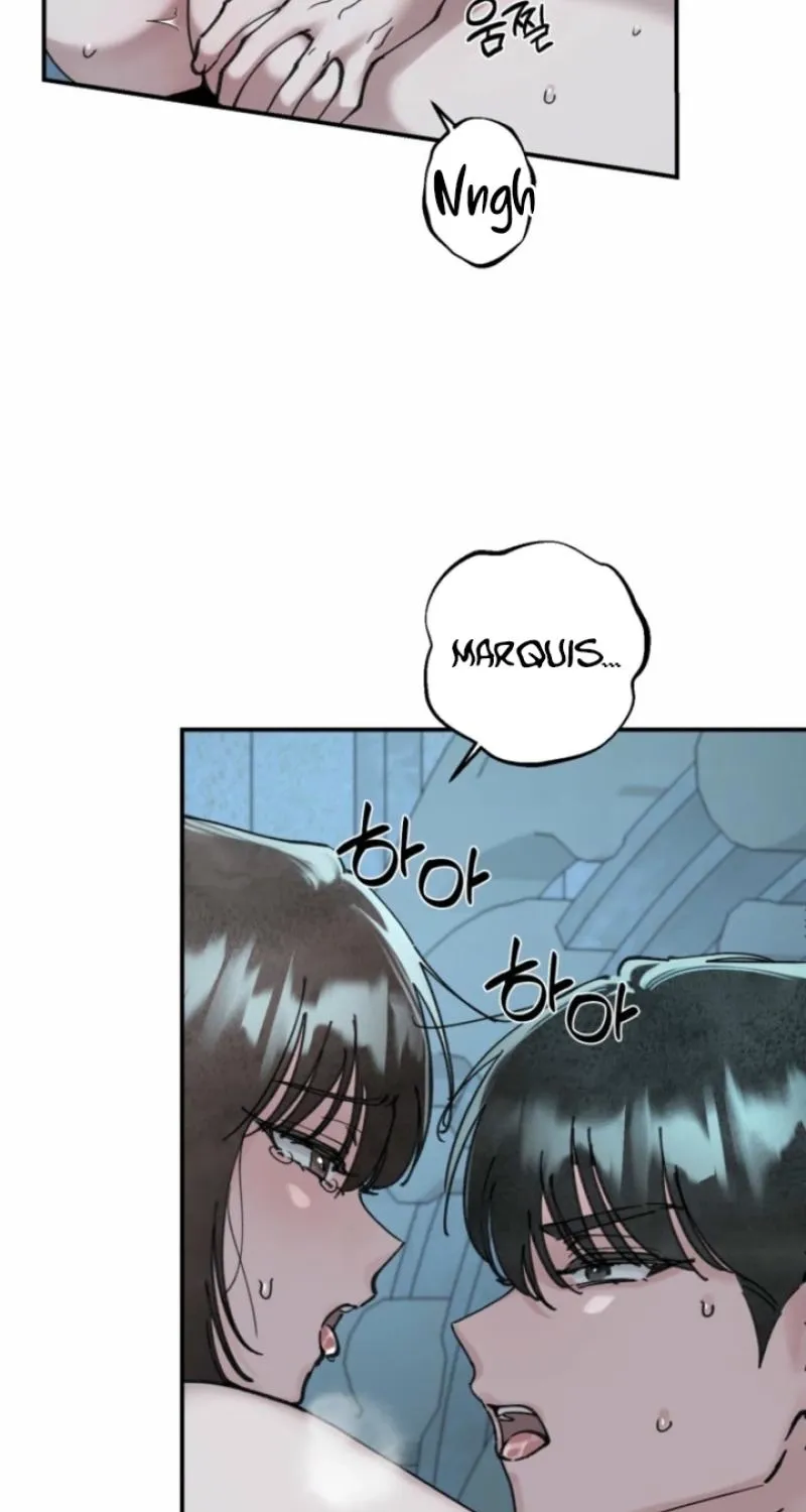 Read The Maid