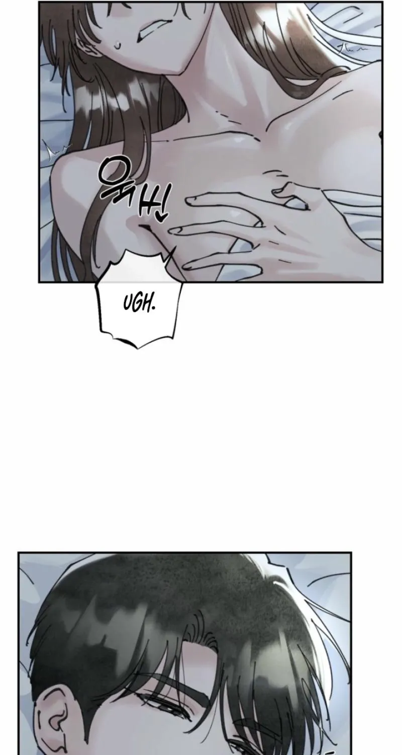 Read The Maid