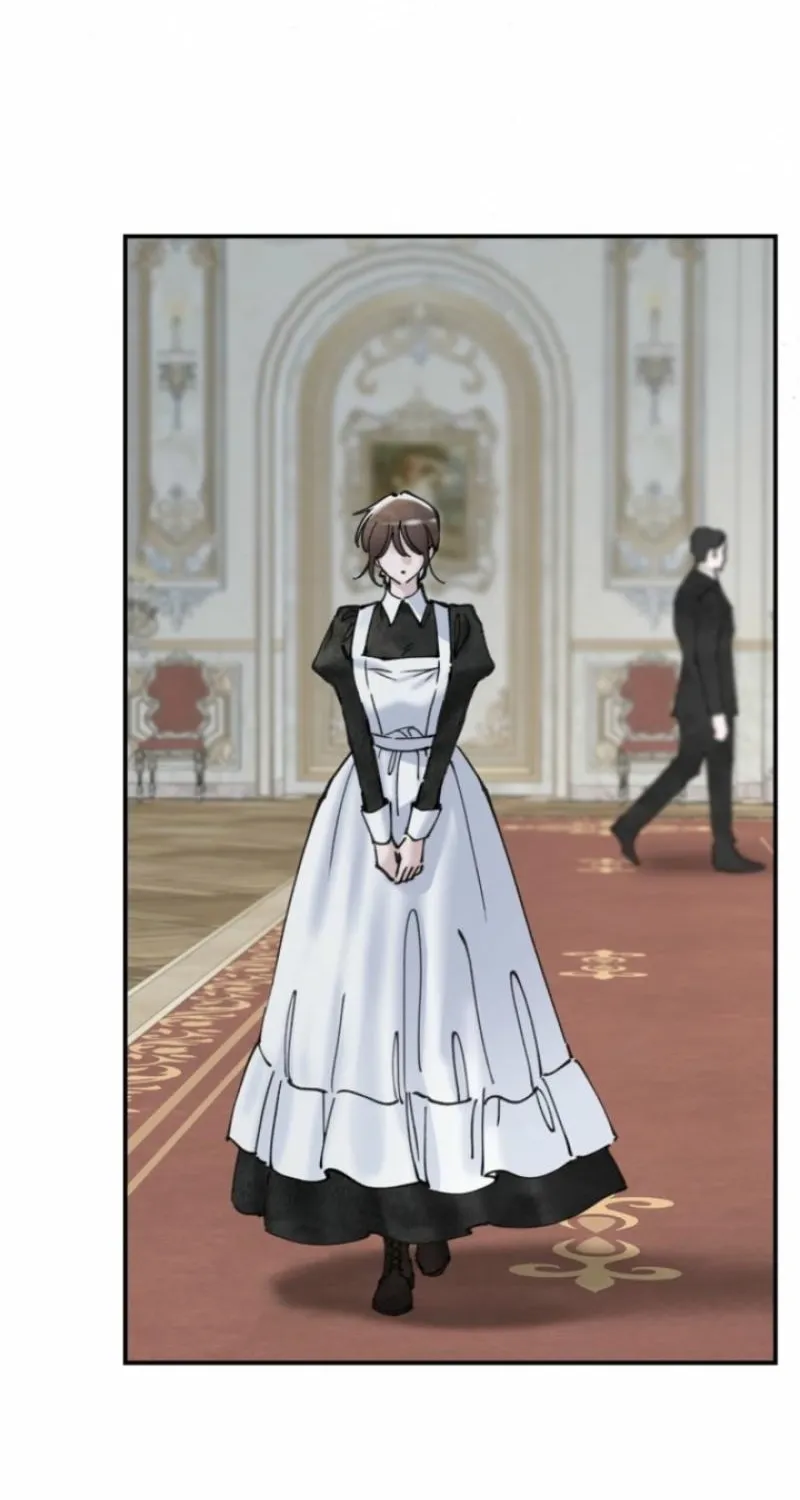 Read The Maid