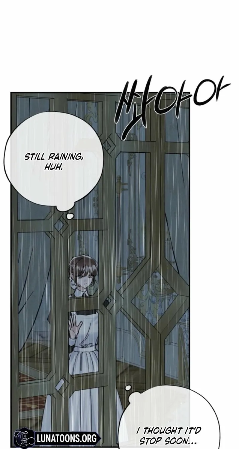 Read The Maid