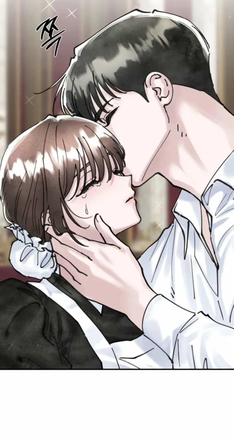 Read The Maid