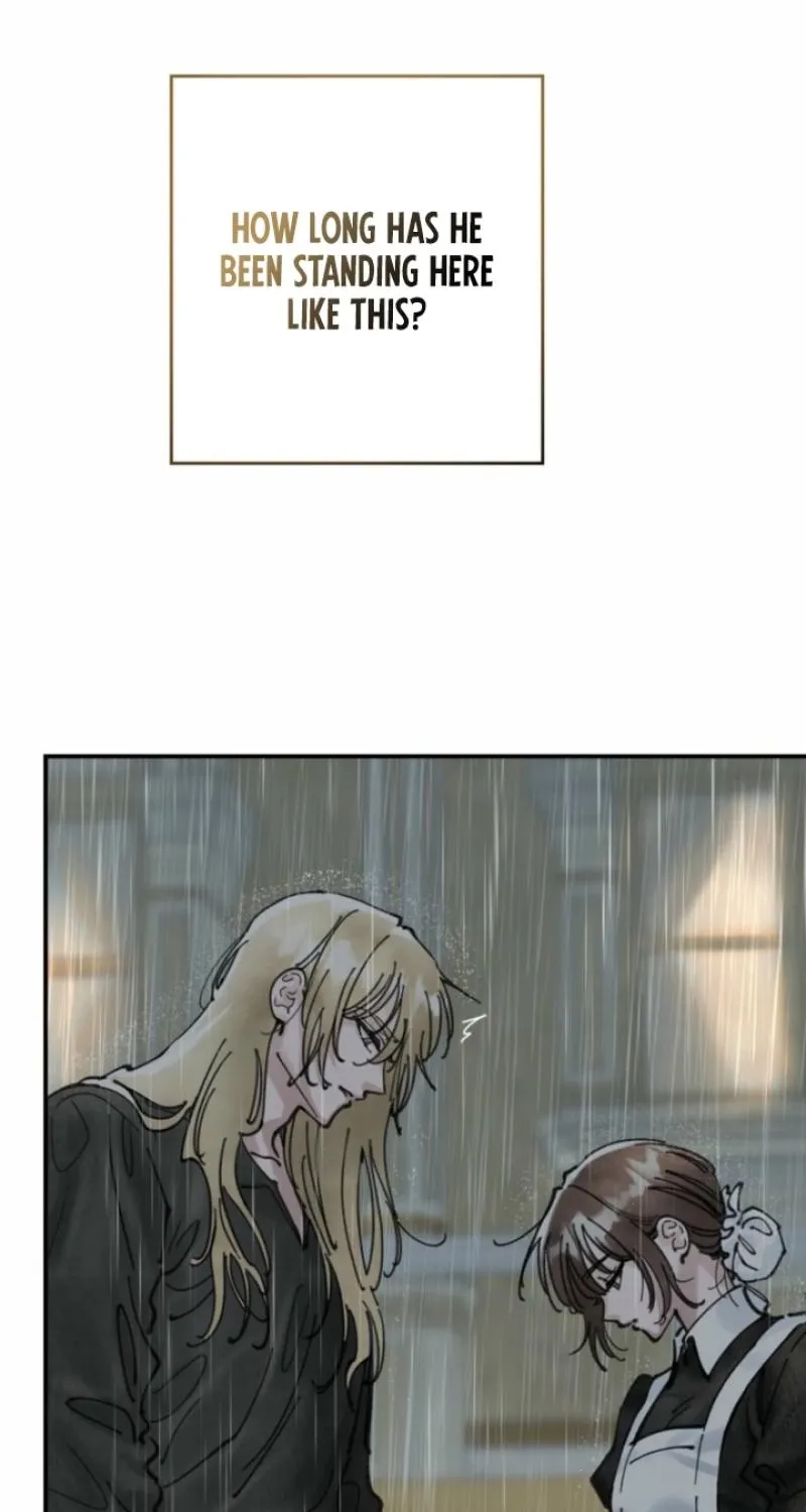 Read The Maid
