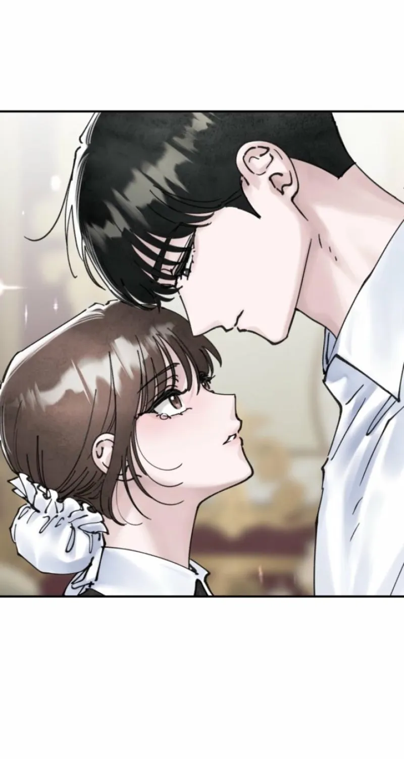 Read The Maid