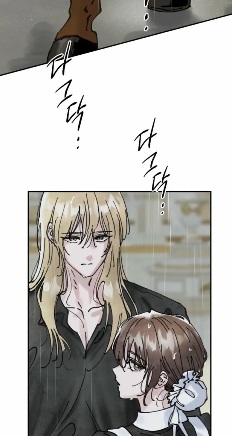 Read The Maid
