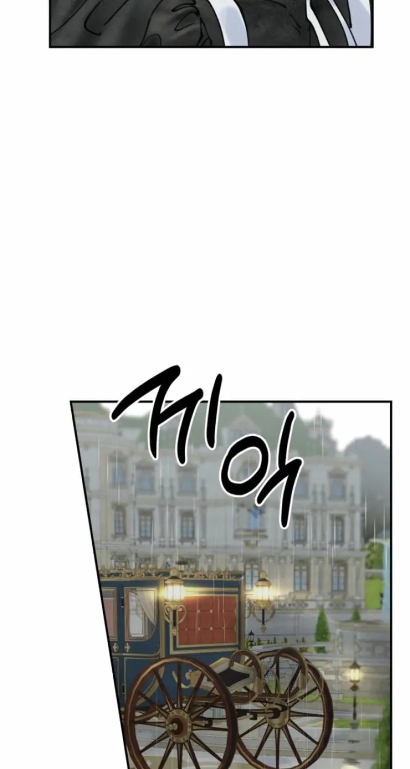 Read The Maid