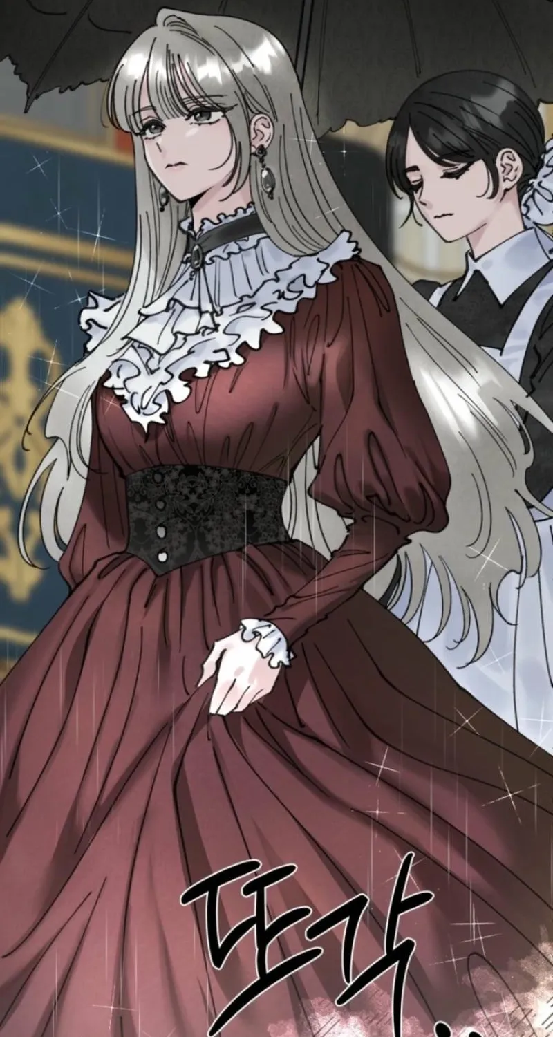 Read The Maid