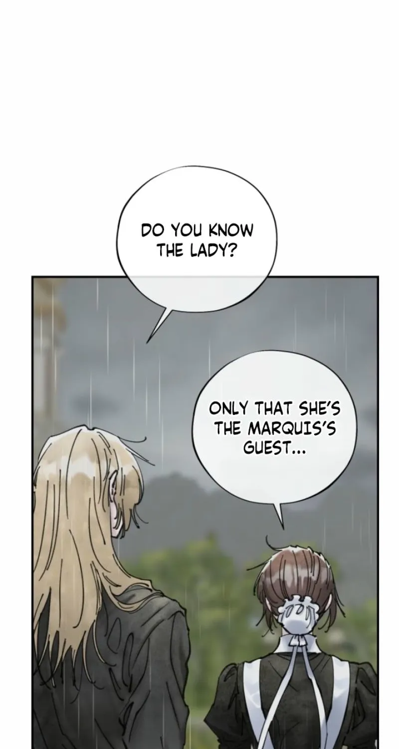 Read The Maid