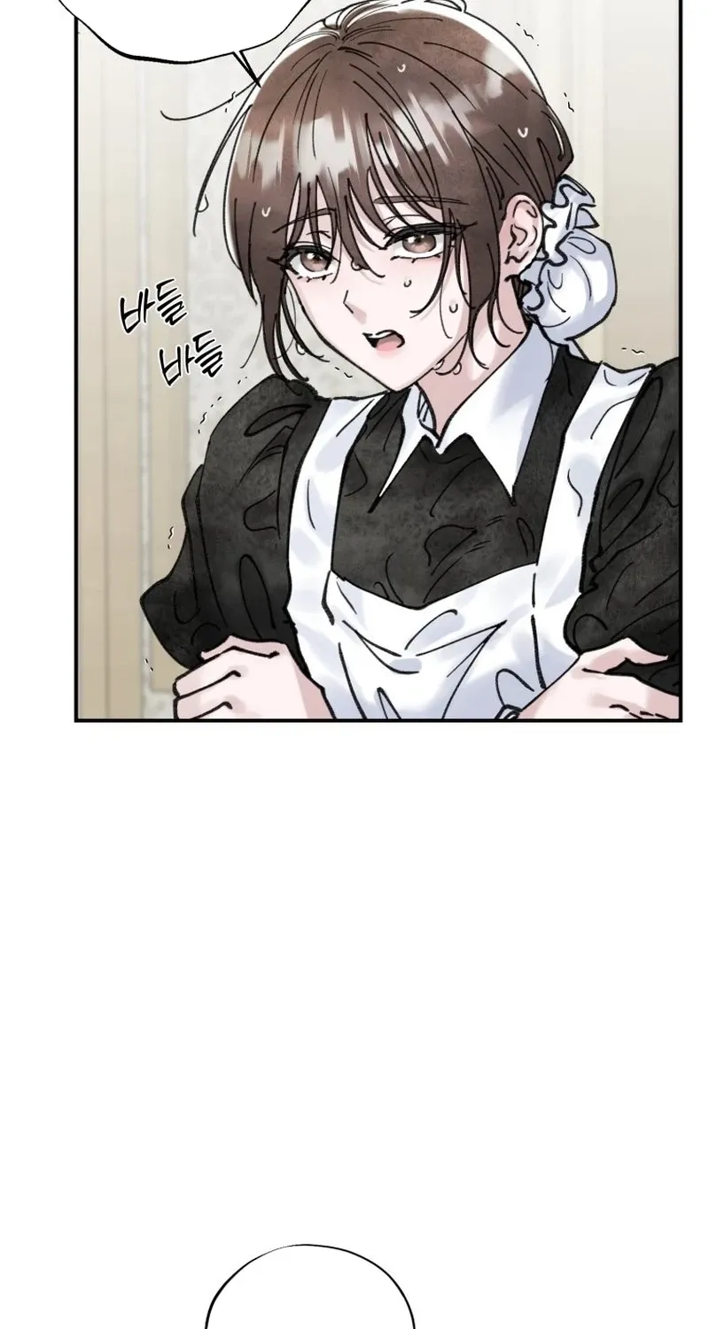 Read The Maid
