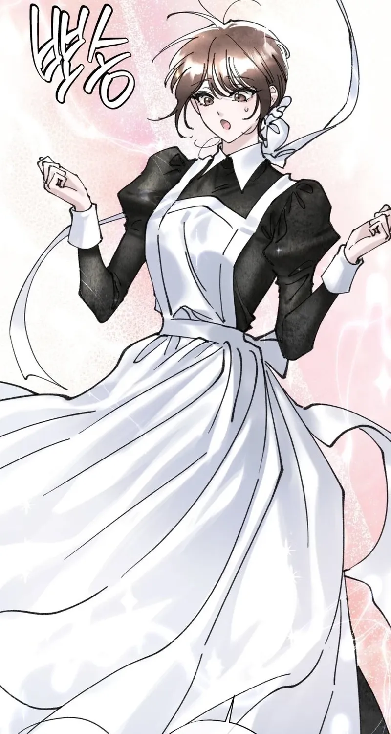 Read The Maid