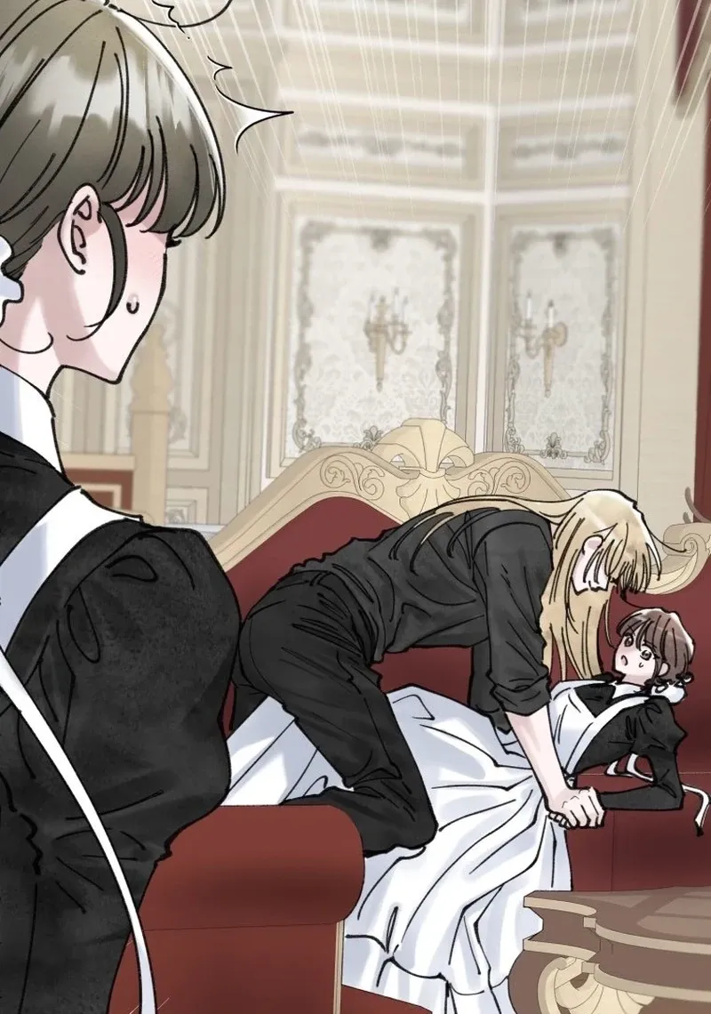 Read The Maid