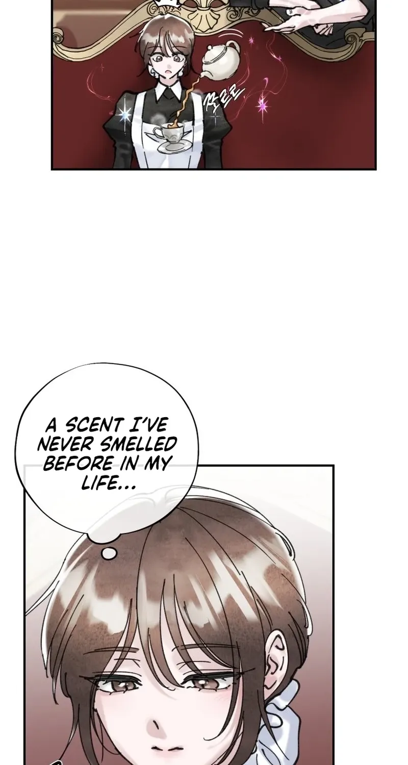 Read The Maid