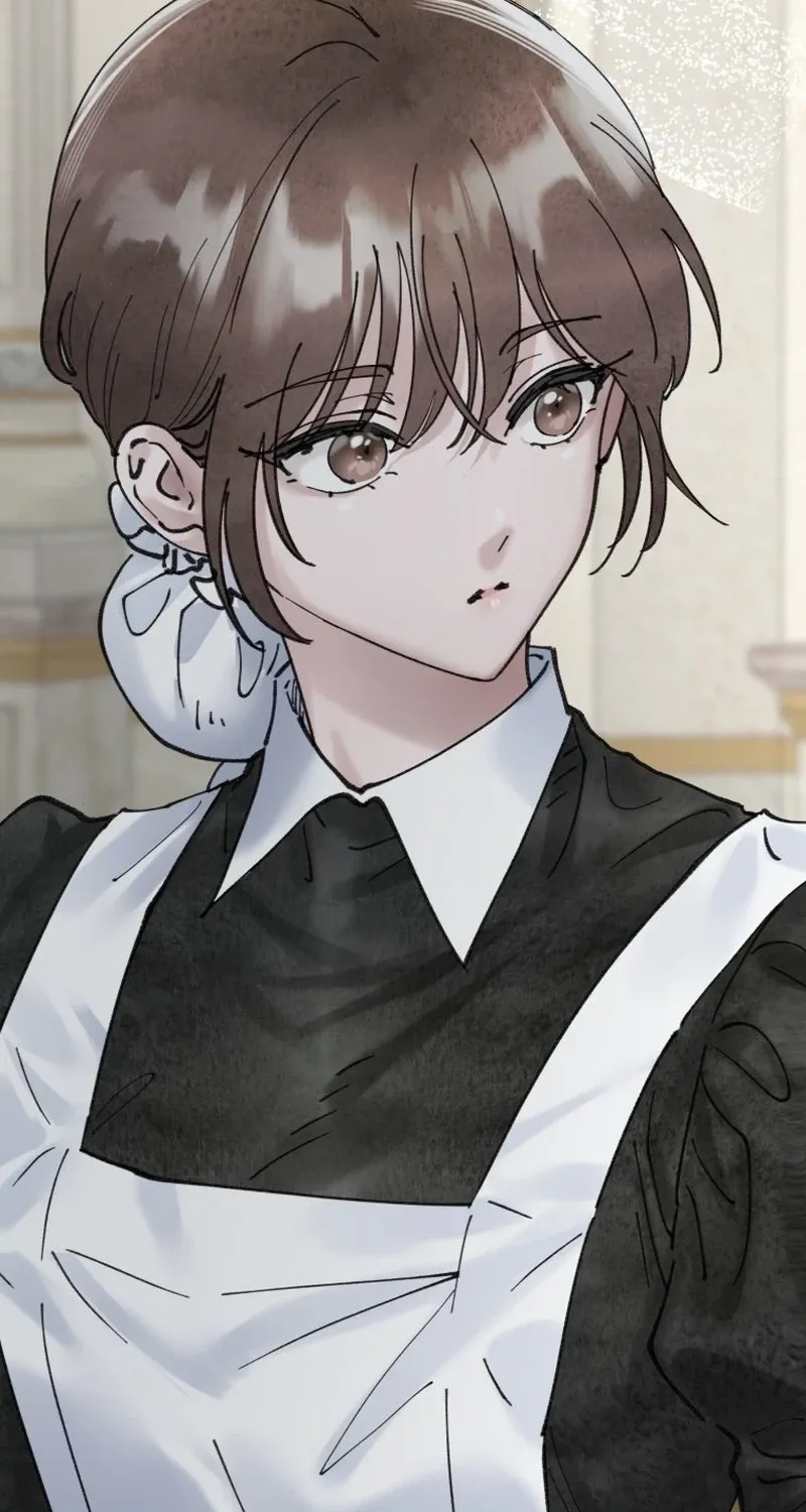 Read The Maid