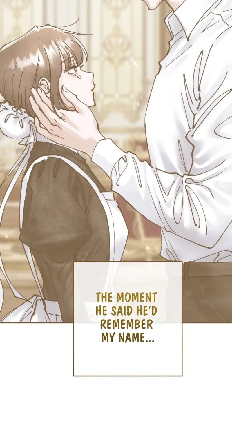 Read The Maid