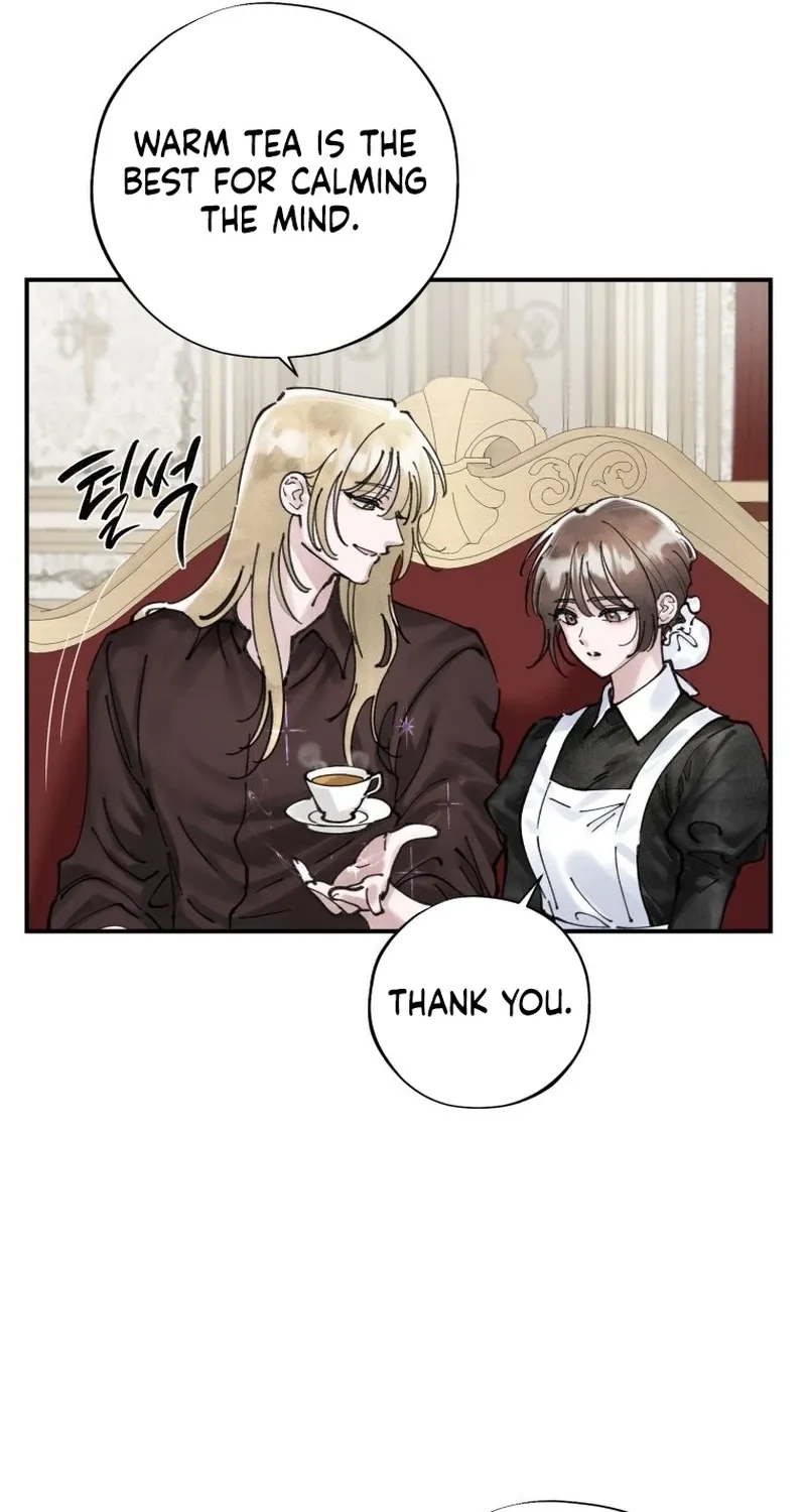 Read The Maid