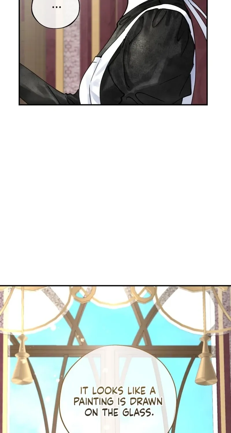 Read The Maid