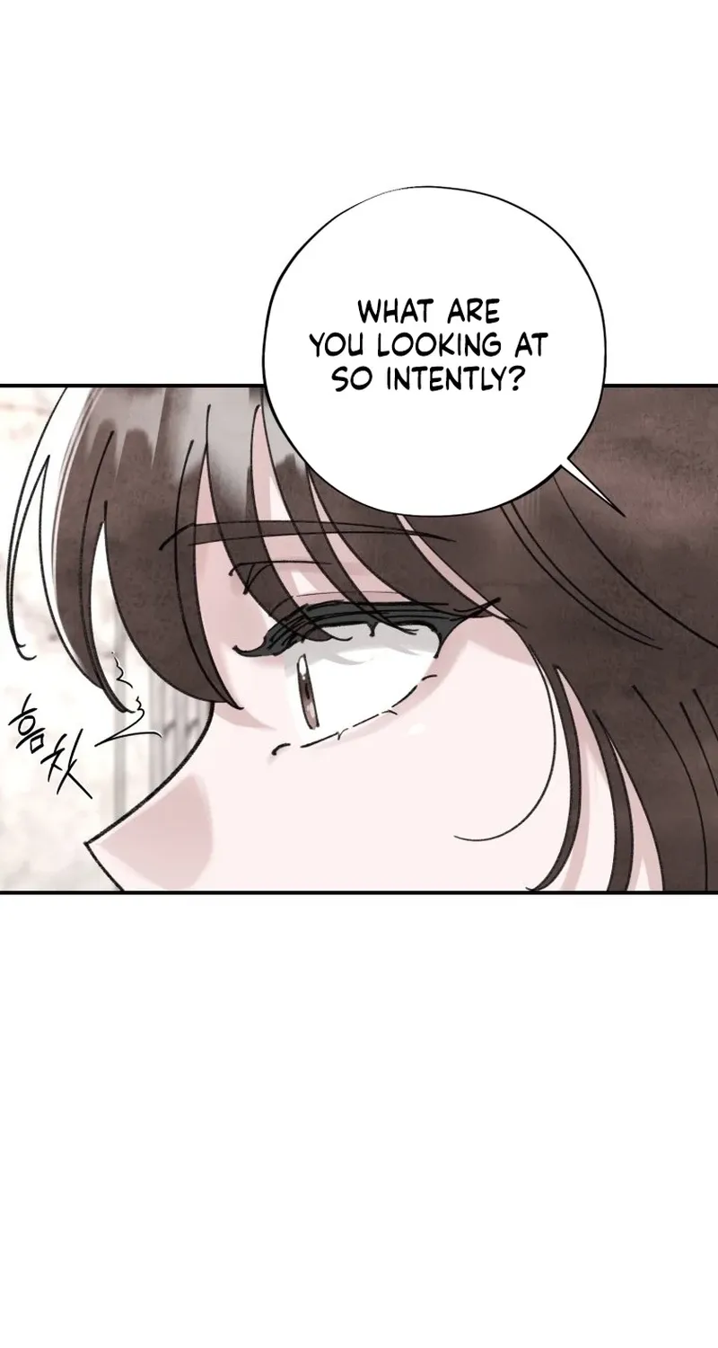 Read The Maid