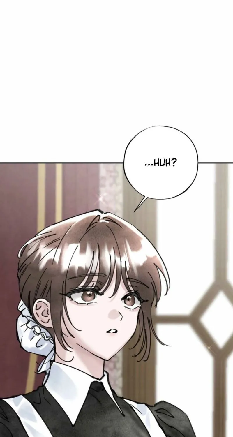 Read The Maid