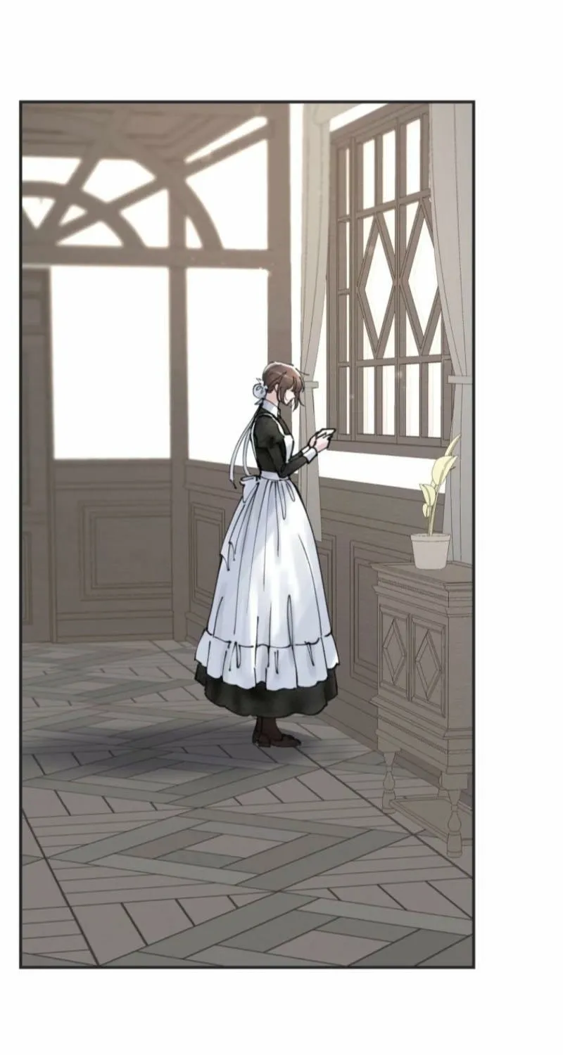 Read The Maid