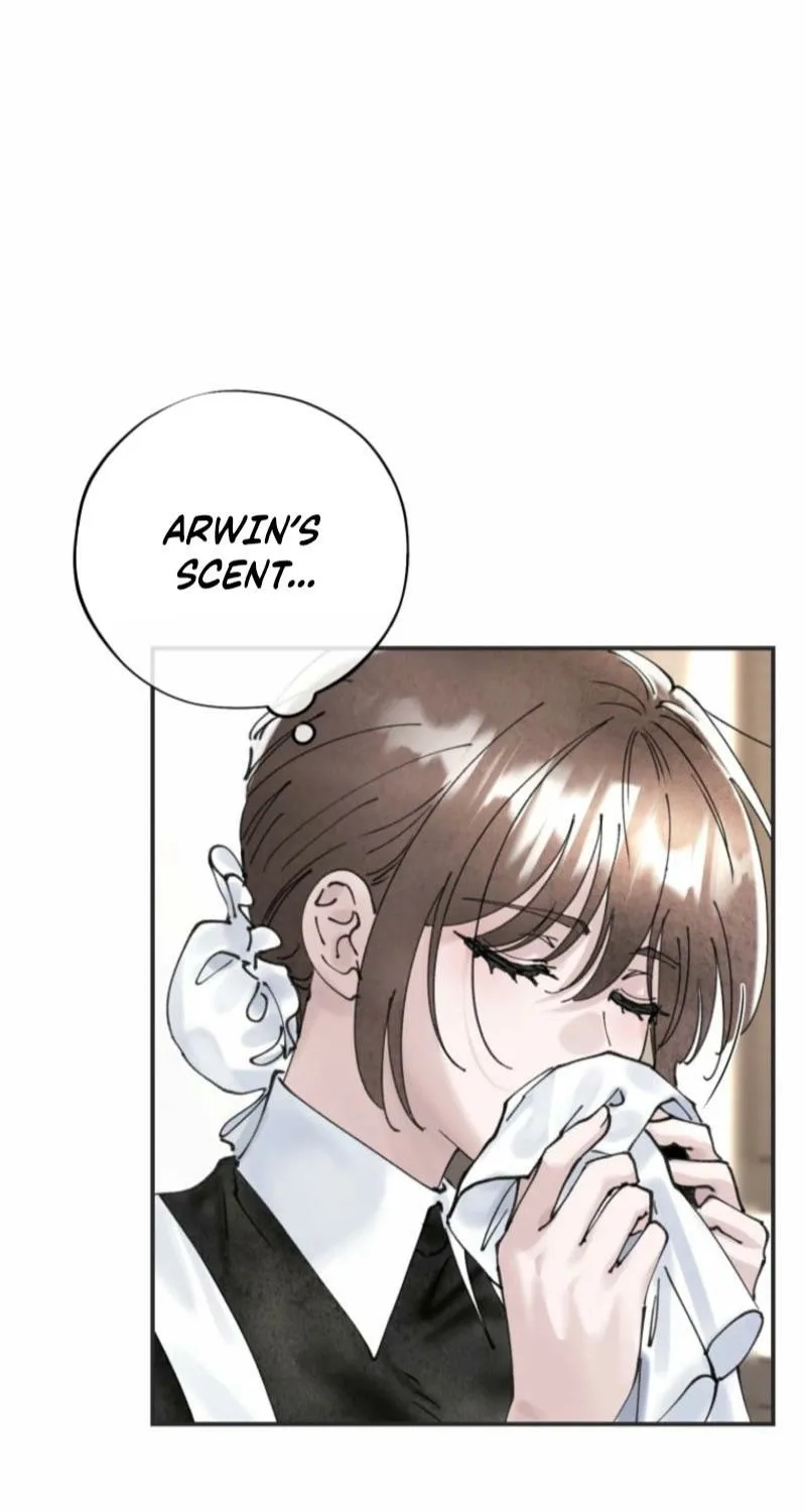 Read The Maid