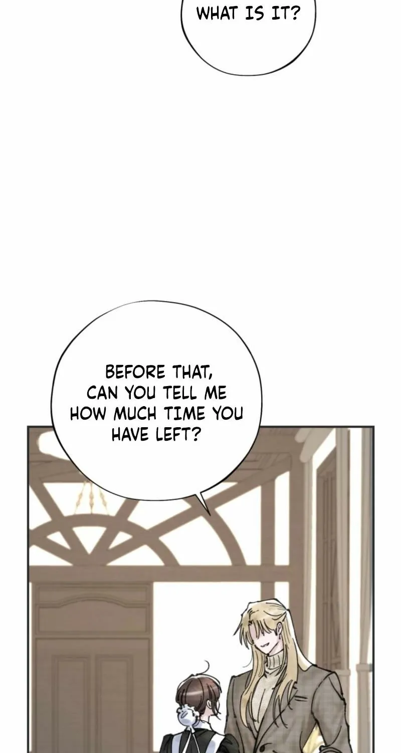 Read The Maid