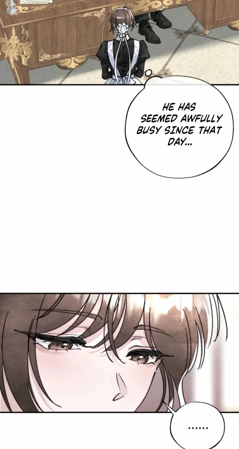 Read The Maid