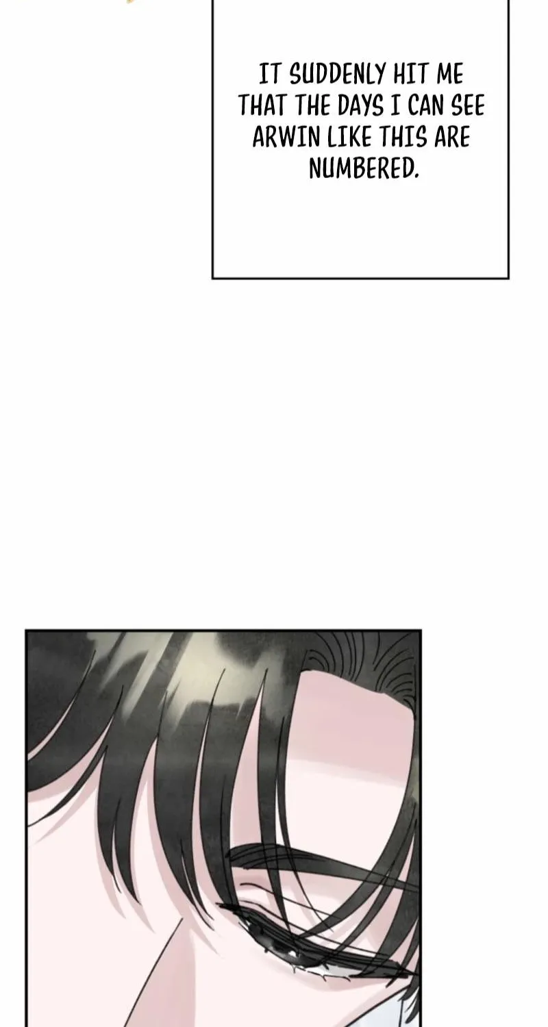 Read The Maid