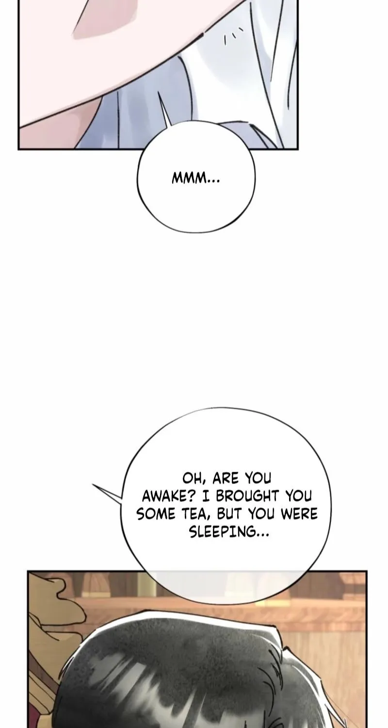 Read The Maid