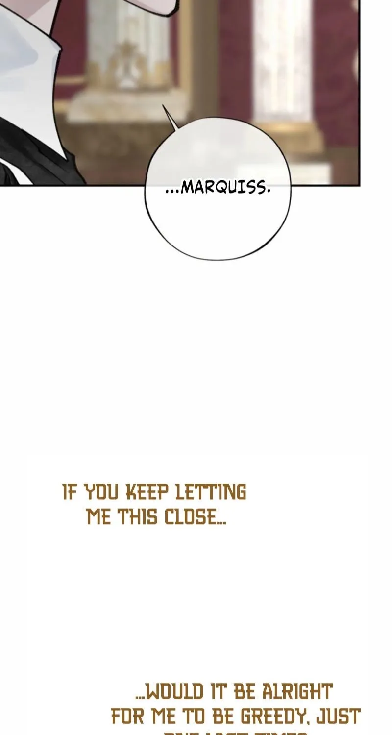 Read The Maid