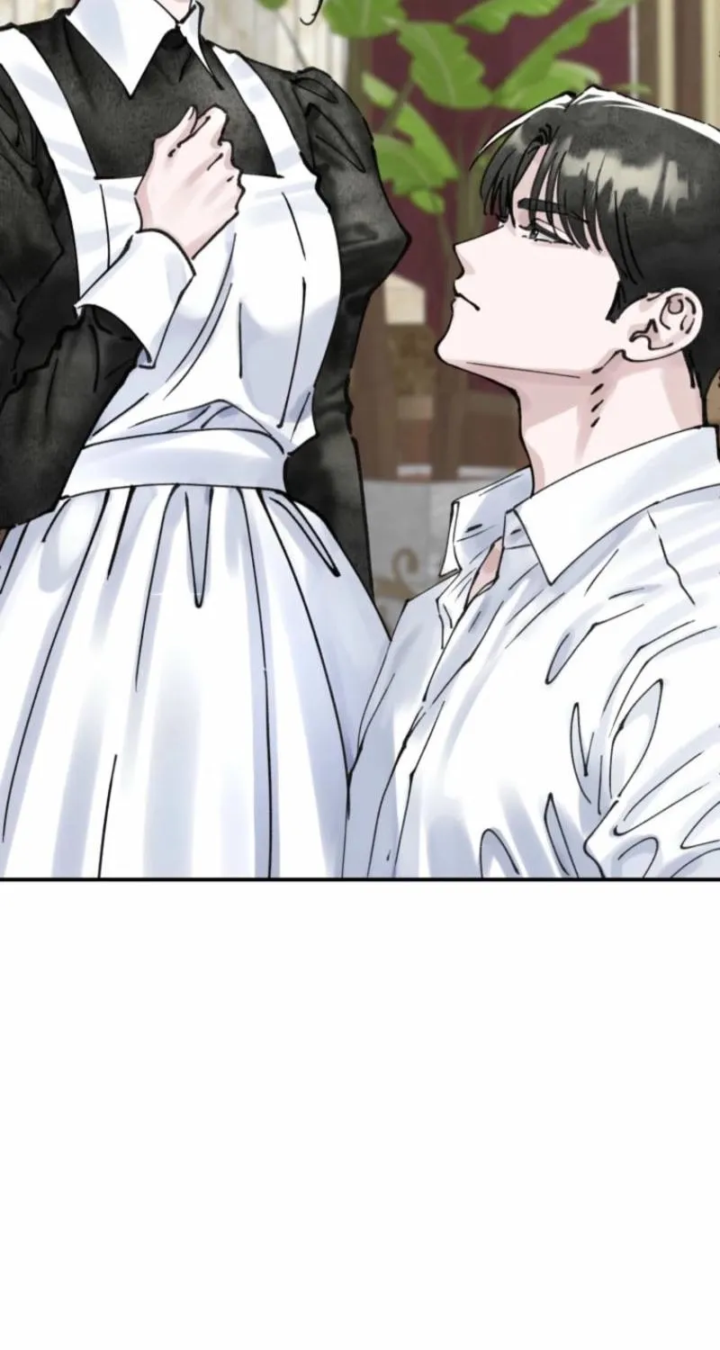 Read The Maid