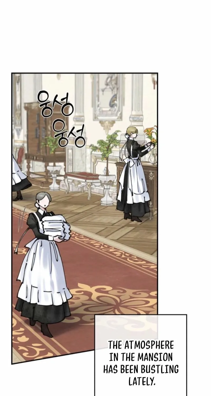 Read The Maid