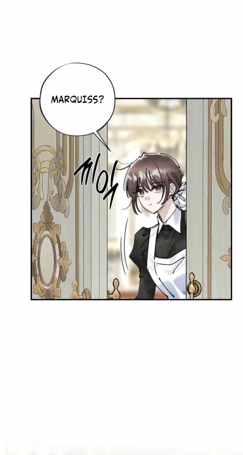 Read The Maid