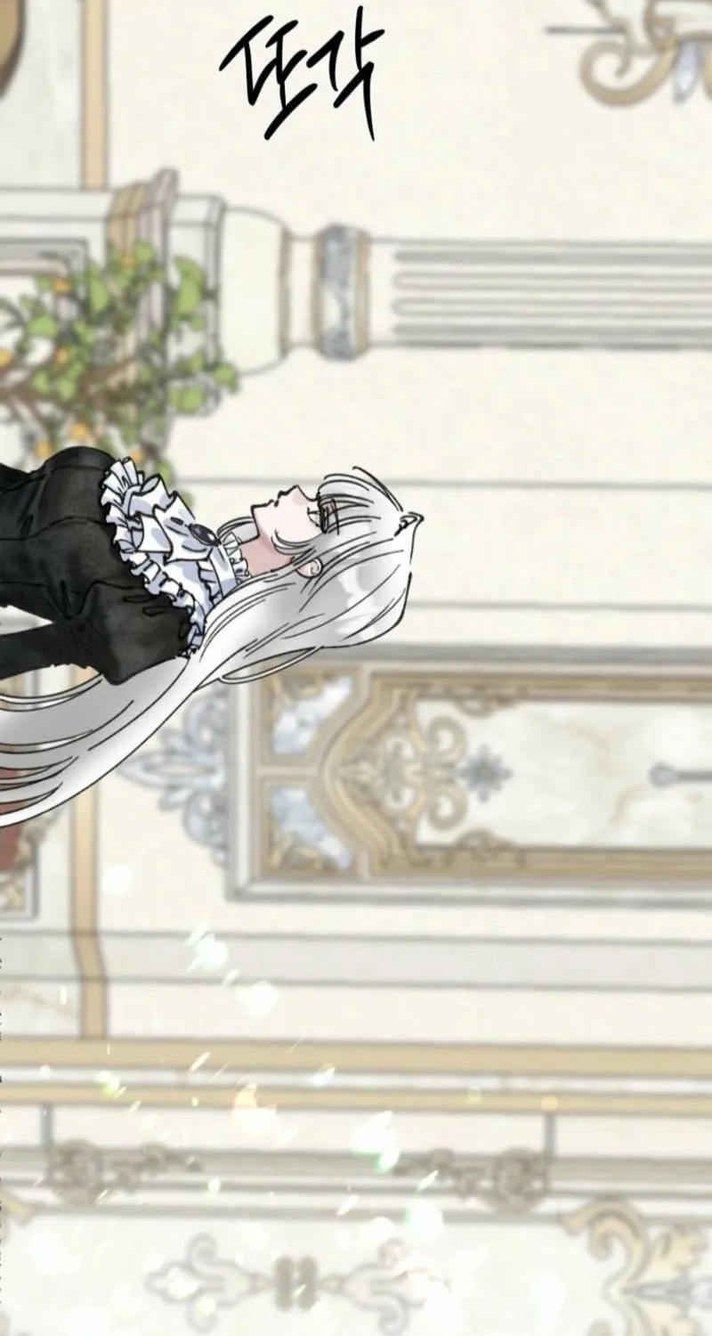Read The Maid