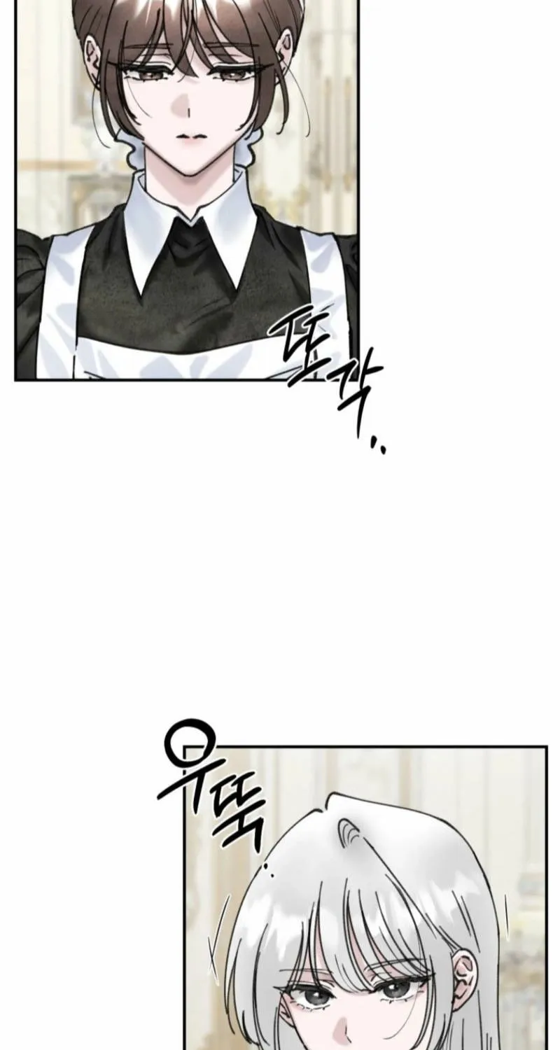 Read The Maid
