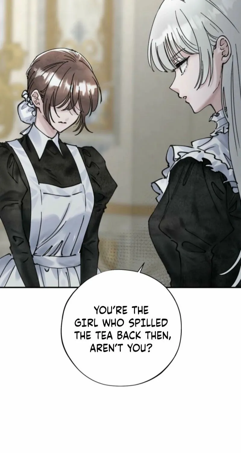 Read The Maid